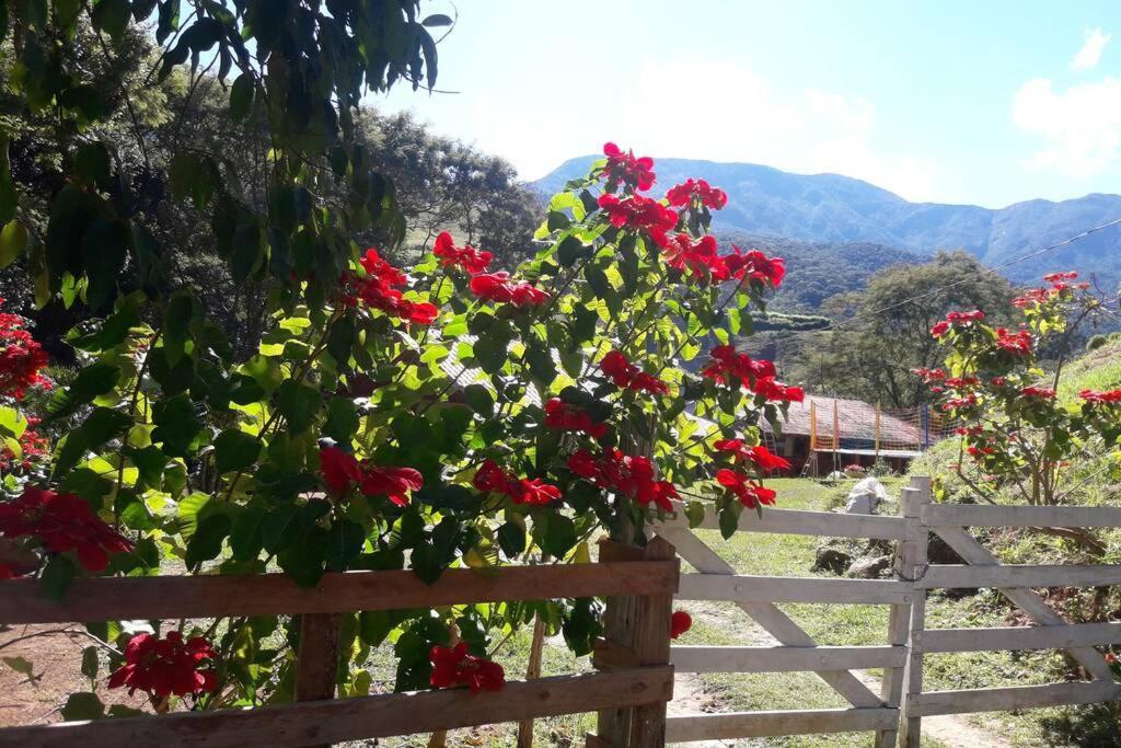 فيلا Rancho Pedra Preta إتامونتي المظهر الخارجي الصورة